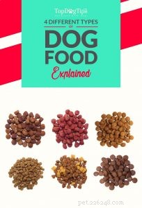 4 různé druhy krmiva pro psy a které váš pes potřebuje