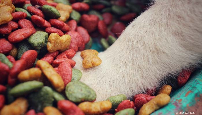 4 různé druhy krmiva pro psy a které váš pes potřebuje
