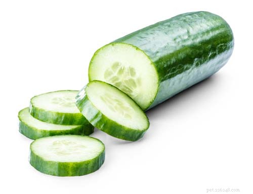 Kunnen honden komkommers eten? 10 voordelen en bijwerkingen