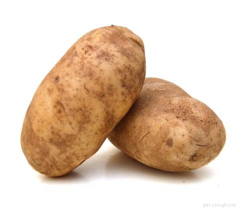 Kunnen honden aardappelen eten? 4 voordelen en 3 bijwerkingen