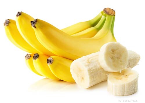 Můžou psi jíst banány? 7 potenciálních výhod a 4 vedlejší účinky