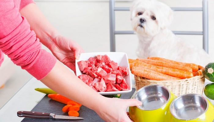 7 důvodů, proč nekrmit svého psa syrovým krmivem pro psy (na základě faktů)