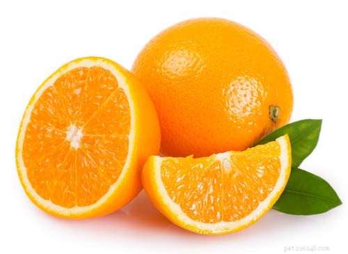 Kunnen honden sinaasappels eten? 7 mogelijke voordelen en bijwerkingen