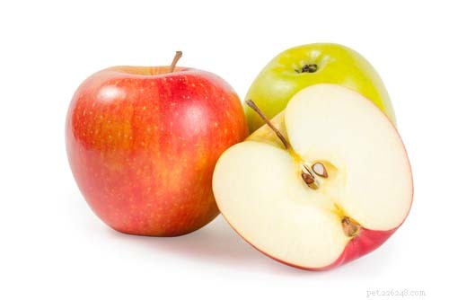 개가 사과를 먹을 수 있습니까? 8가지 잠재적 이점 및 3가지 주의 사항