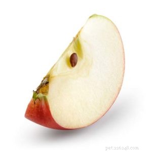 Kan hundar äta äpplen? 8 potentiella fördelar och 3 försiktighetsåtgärder