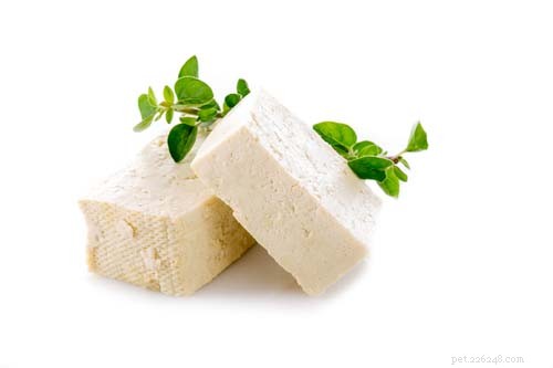 Kan hundar äta tofu? 3 potentiella fördelar och 6 biverkningar