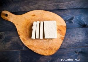 Kunnen honden tofu eten? 3 mogelijke voordelen en 6 bijwerkingen