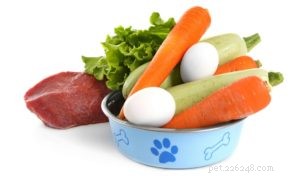 4 goda skäl att ge hundar med mänsklig mat