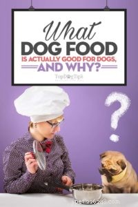 Quelle nourriture pour chiens est bonne pour les chiens et pourquoi ?