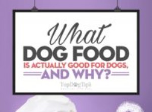 どのドッグフードが犬に良いのか、そしてその理由は？ 
