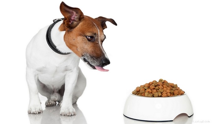 Vilket hundfoder är bra för hundar och varför?