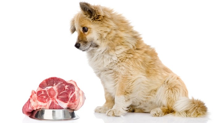 La dieta con cibi crudi è sicura per i cani?