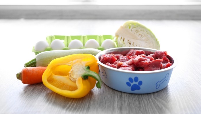 Is raw food dieet veilig voor honden?