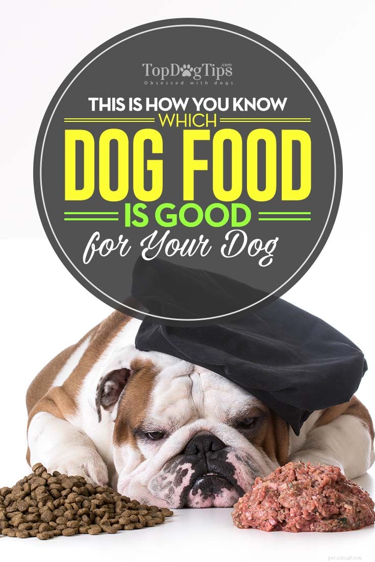 Hur du vet vilket hundfoder som är bra för din hund