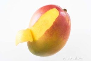 Kunnen honden mango eten?