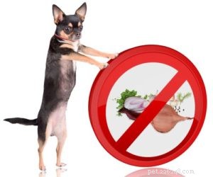 A razão pela qual os cães não podem comer cebolas
