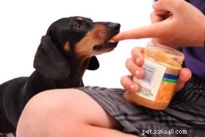 Kunnen honden pindakaas eten?