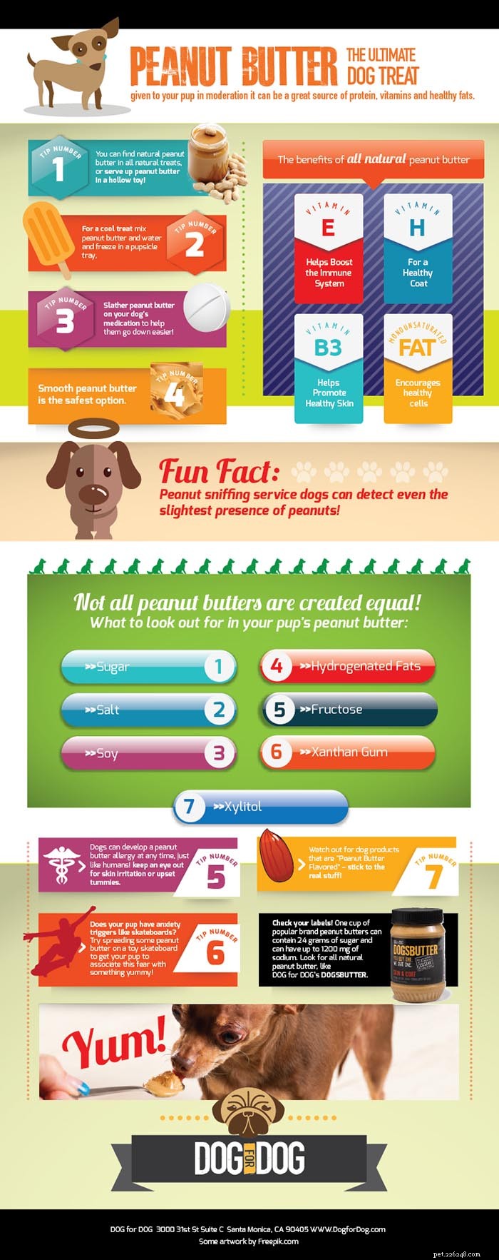 개가 땅콩 버터를 먹을 수 있습니까?