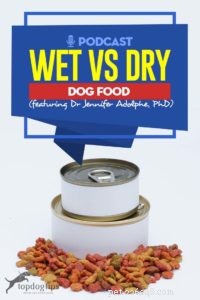 TOP #37 :Nourriture humide ou sèche pour chiens avec Dr Jennifer Adolphe, PhD