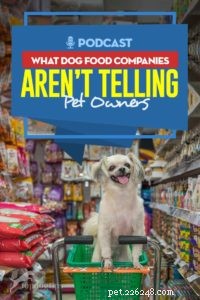 TOP #31:cosa non dicono le aziende di cibo per cani ai proprietari di animali domestici