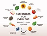 Os 10 melhores alimentos para cães pequenos