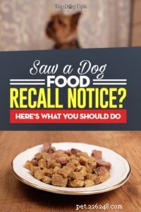 Připomenutí krmiva pro psy:Co to znamená a co musíte udělat