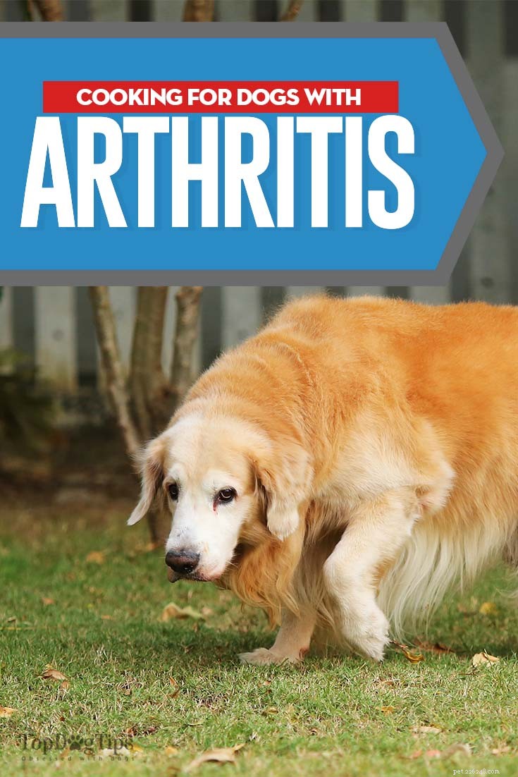 Jak byste měli krmit psy s artritidou