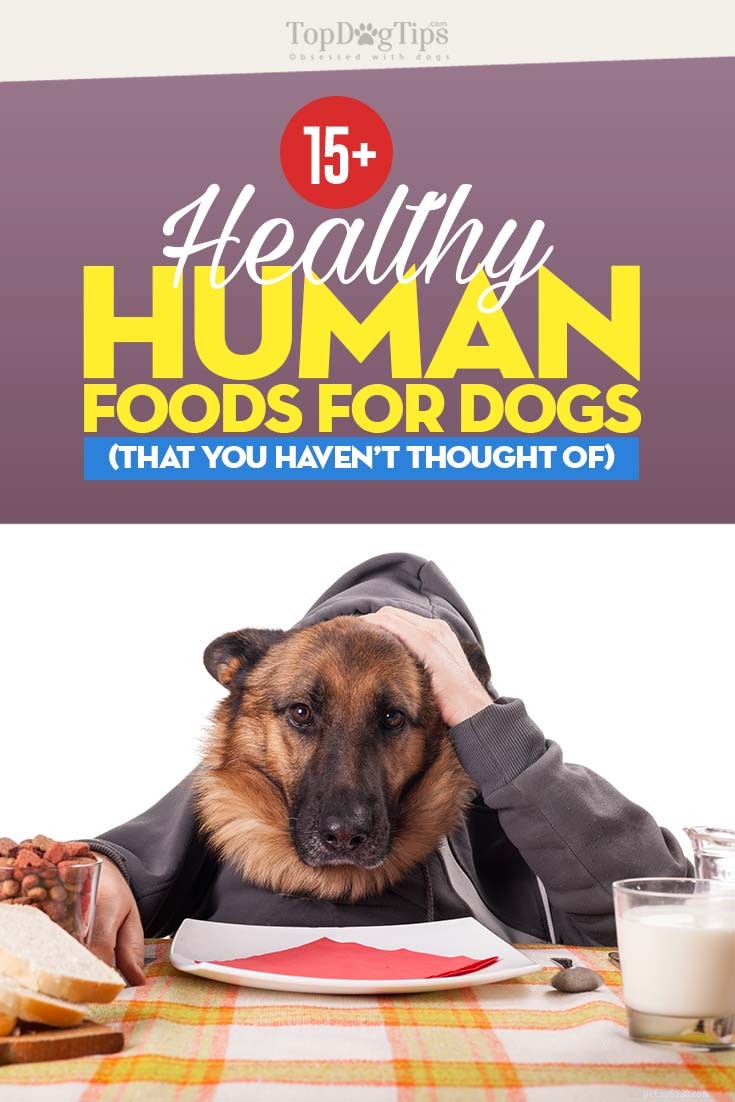 16 hälsosam mat för hundar (som du inte har tänkt på)