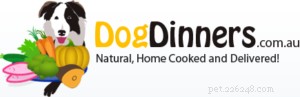 10 servizi di consegna di cibo per cani fatto in casa da tutto il mondo