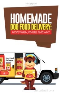 10 служб доставки домашнего корма для собак со всего мира