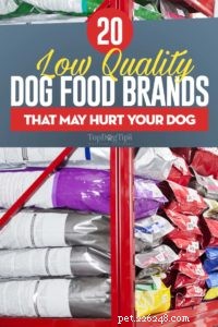 20 cibi cattivi per cani con ingredienti di bassa qualità