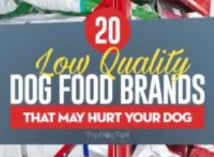 20 špatných krmiv pro psy s nízkou kvalitou přísad