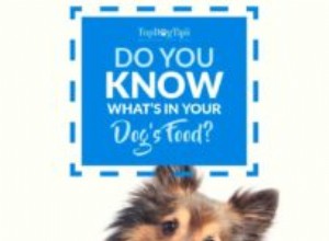 Porozumění krmivu pro psy:Víte, co tam je?