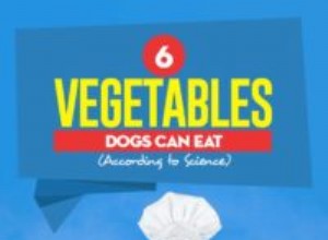 科学によると6つの野菜犬が食べることができます 