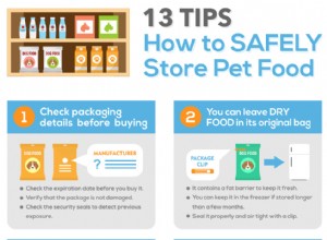 13 tipů, jak správně skladovat krmivo pro psy [Infographic]