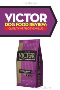 22 porovnávaných receptů na krmivo pro psy Victor