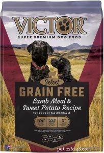 Сравнение 22 рецептов корма для собак Victor