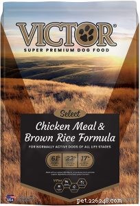22 porovnávaných receptů na krmivo pro psy Victor