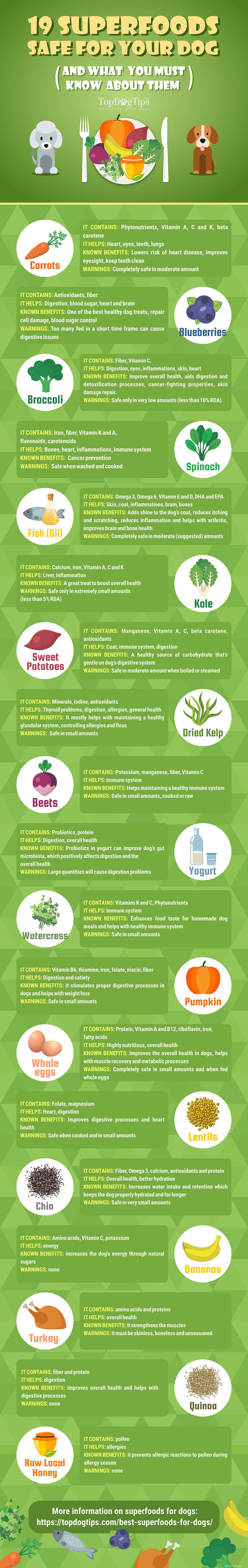 19 snack superfood per cani [Infografica]