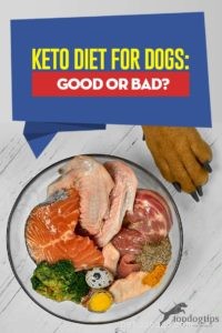 Keto-diet för hundar:bra eller dåligt?