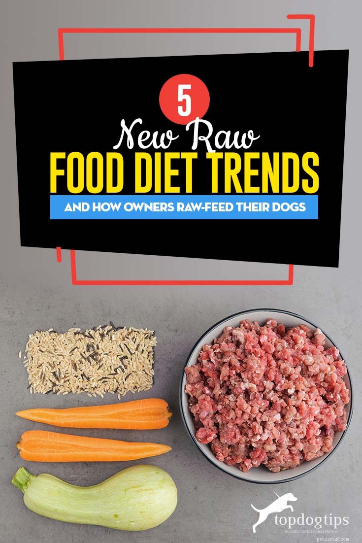 5 Raw Food-dieettrends en hoe eigenaren van gezelschapsdieren hun honden rauw voeren