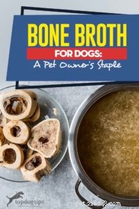 Bone Bouillon voor honden:het hoofdbestanddeel van een huisdiereigenaar