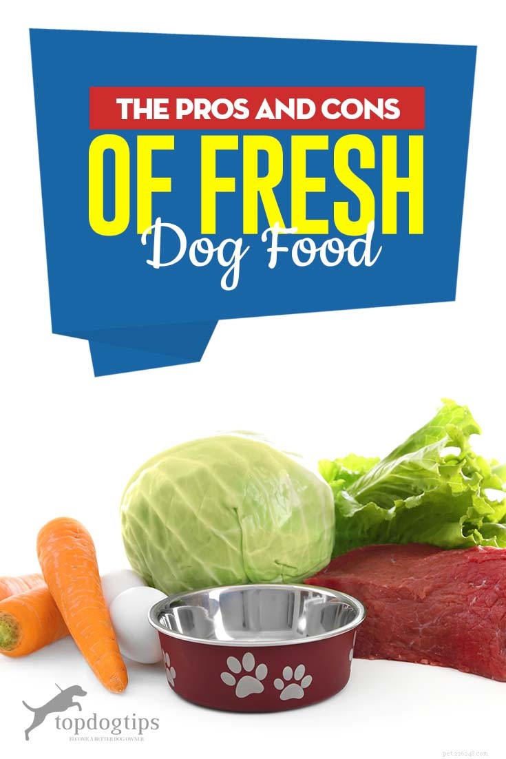 Pro e contro del cibo fresco per cani