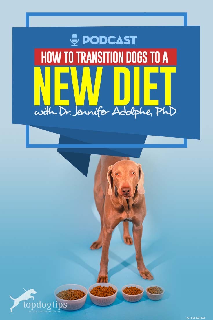 TOP＃103：犬を新しい食事に移行する方法 