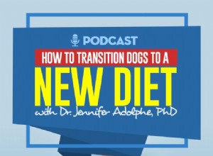 TOP＃103：犬を新しい食事に移行する方法 