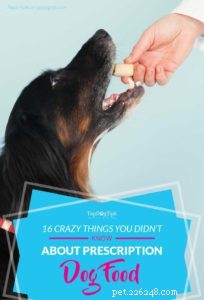 16 choses que vous ne saviez pas sur les aliments pour chiens sur ordonnance