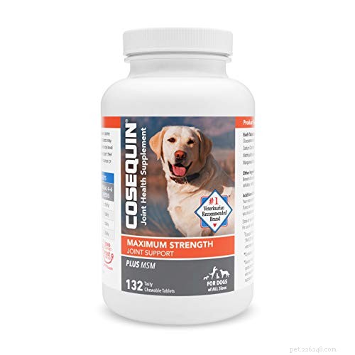 7 vitamine per cani che tutti i proprietari di cani devono conoscere