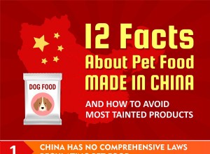 12 фактов о корме для собак, сделанном в Китае [инфографика]