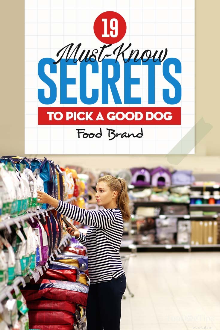 19 conseils pour choisir une bonne marque d aliments pour chiens