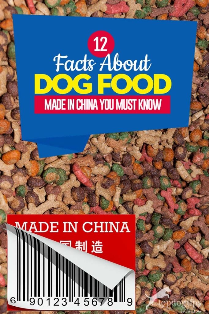 12 faits sur les aliments pour chiens fabriqués en Chine [Infographie]
